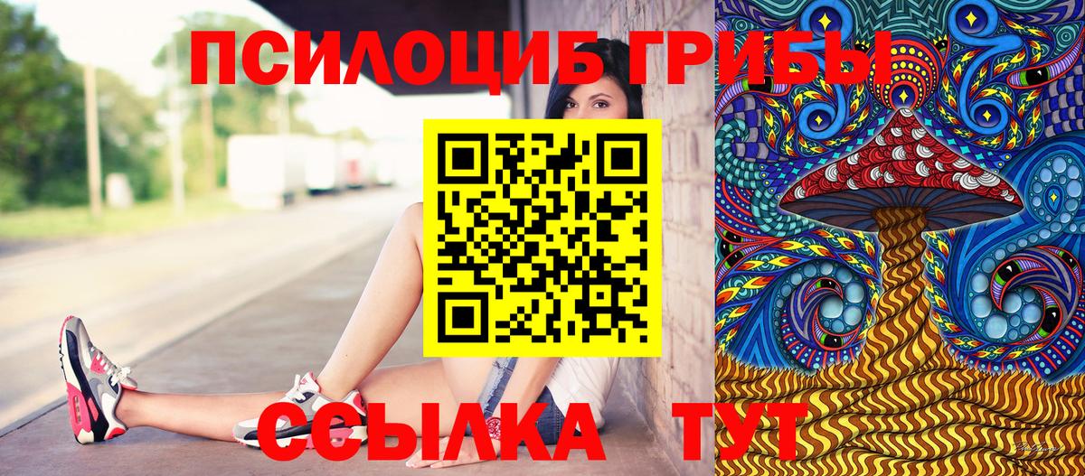 Псилоцибиновые грибы GOLDEN TEACHER Муравленко